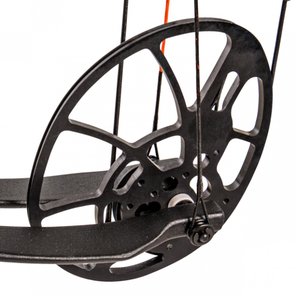 BEAR - Kit LEGIT RTH 11 BEAR - Kit LEGIT RTH – Image 9